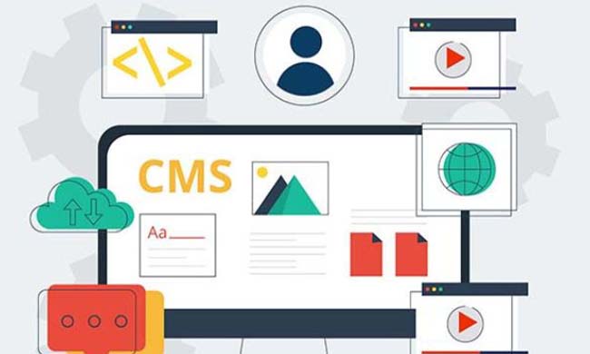 HubSol CMS Development