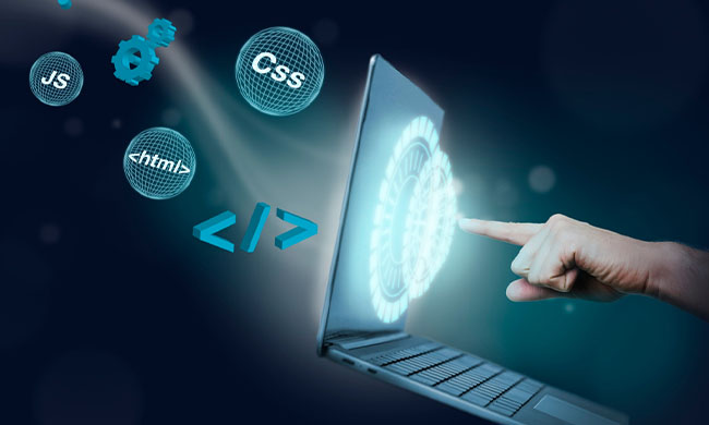 HubSol WordPress Development